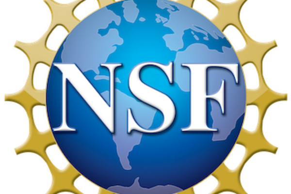 Nsf 4 Color Bitmap Logo
